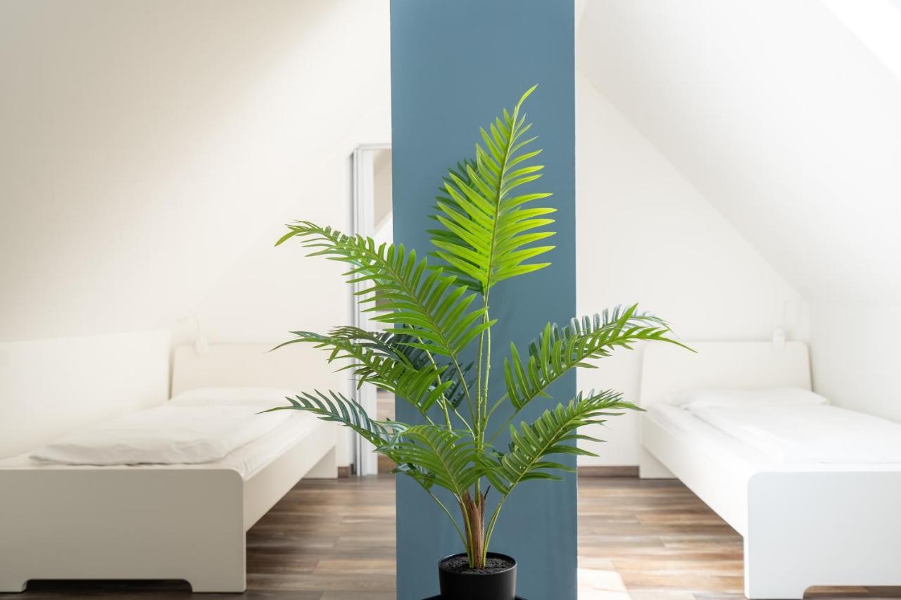 Xxl Superior Apartment 1 - 10 Personen 카스트롭라욱셀 외부 사진